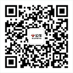 �ڲ�����Ϸ��վ����